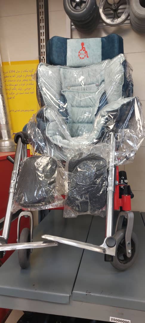 کالسکه فلج مغزی 